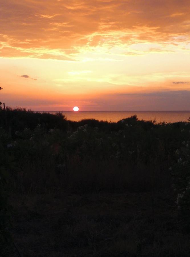 Villa Tzanetos Seaside Kyparissia Esterno foto