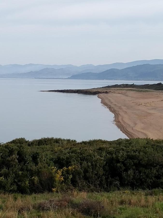Villa Tzanetos Seaside Kyparissia Esterno foto