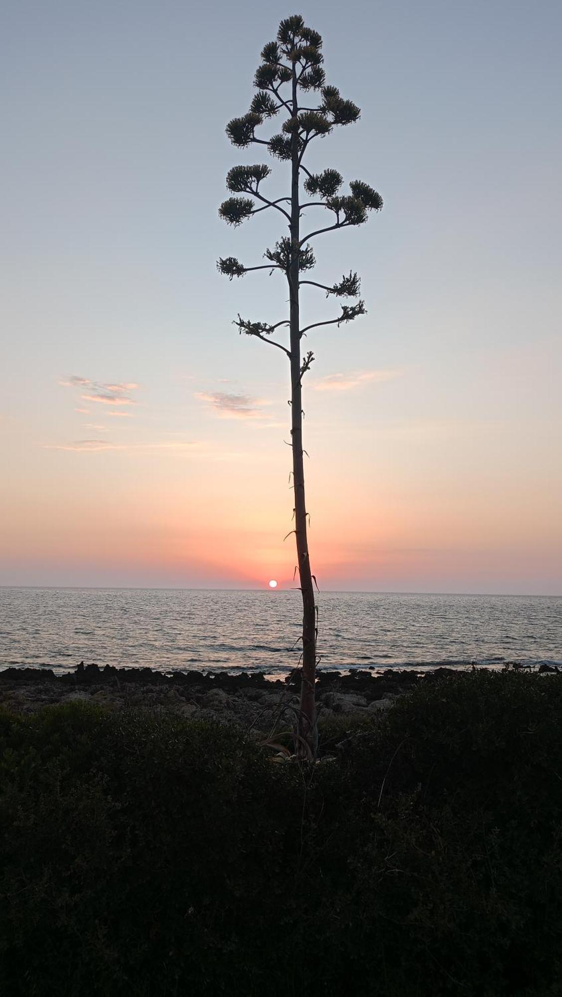 Villa Tzanetos Seaside Kyparissia Esterno foto